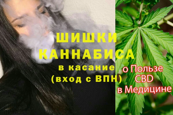 дурь Вяземский