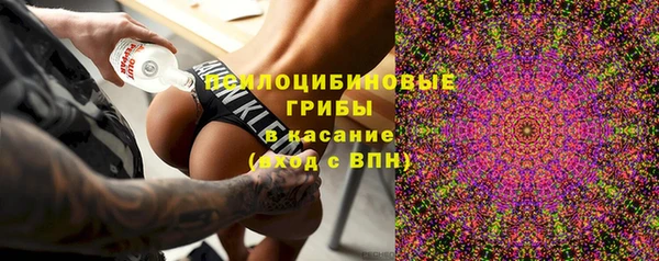 прущие грибы Волосово