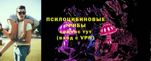 дурь Вяземский
