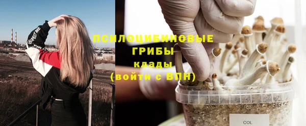 герыч Вязьма